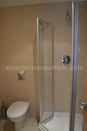 En-suite bathroom (shower)
