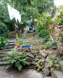 Back garden